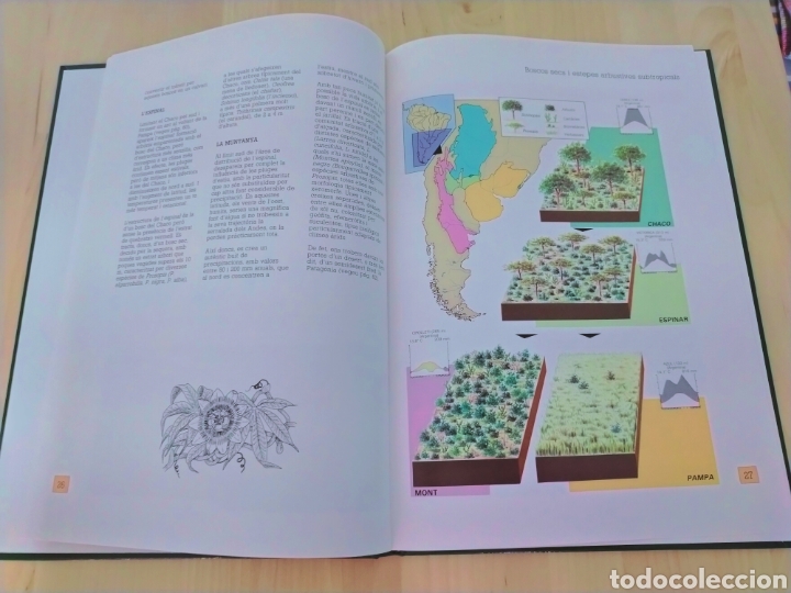 Libros de segunda mano: Atlas de Bot&agrave;nica en catal&aacute;n - Foto 2