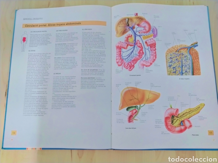 Libros de segunda mano: Atlas dAnatomia en catal&aacute;n - Foto 3