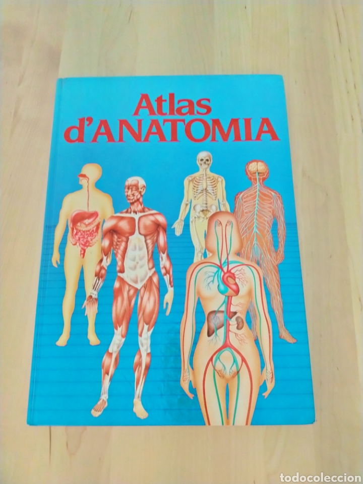 Libros de segunda mano: Atlas dAnatomia en catal&aacute;n - Foto 1