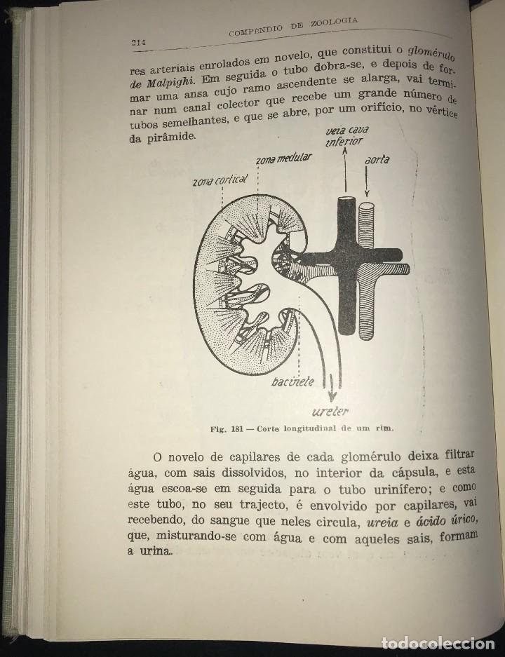 Libros de segunda mano: Comp&ecirc;ndio de Zoologia de Augusto C. G. Soeiro - Foto 6