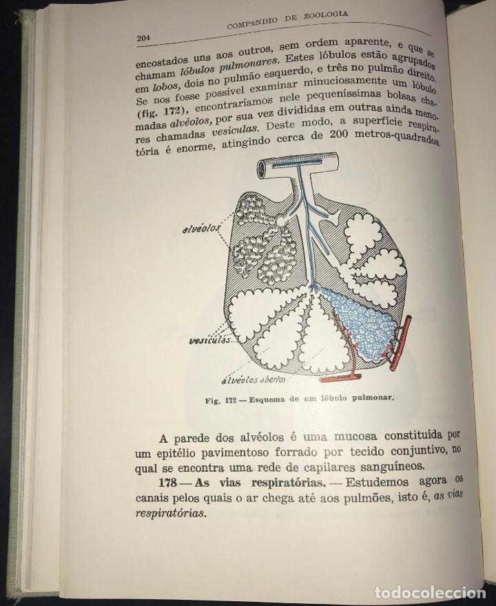 Libros de segunda mano: Comp&ecirc;ndio de Zoologia de Augusto C. G. Soeiro - Foto 7