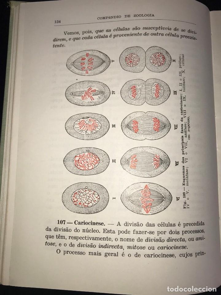 Libros de segunda mano: Comp&ecirc;ndio de Zoologia de Augusto C. G. Soeiro - Foto 9