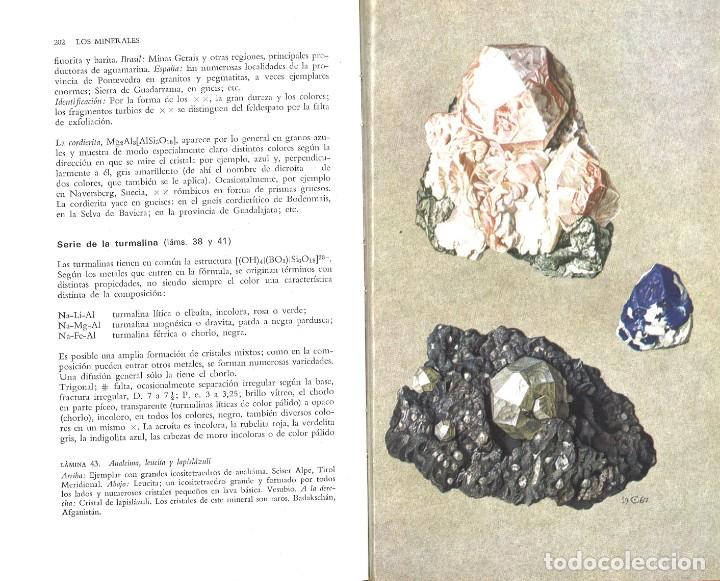 Libros de segunda mano: Los minerales. Hellmuth B&ouml;gel. Omega. 1971 - Foto 2