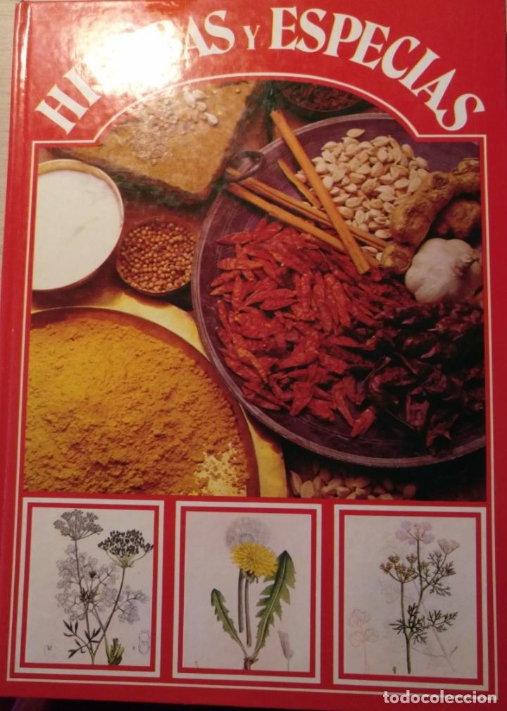 Libros de segunda mano: HIERBAS Y ESPECIAS. - - Foto 1