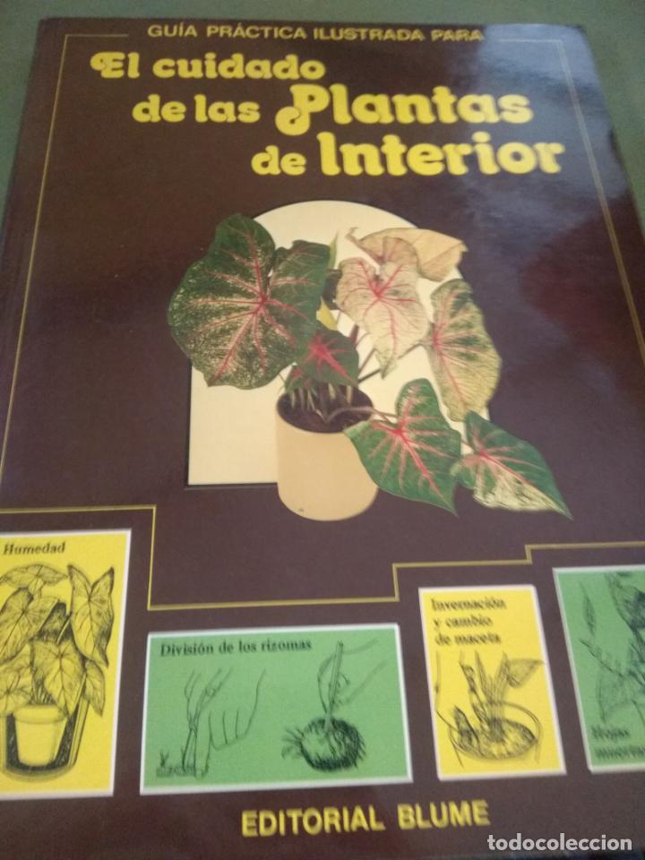 Libros de segunda mano: EL CUIDADO DE LAS PLANTAS DE INTERIOR. DAVID LONGMAN . EDITORIAL BLUME. - Foto 1