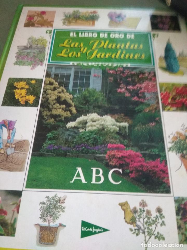 Libros de segunda mano: EL LIBRO DE ORO DE LAS PLANTAS Y LOS JARDINES - EDICIONES NOBEL - Foto 1