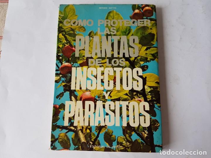 Libros de segunda mano: COMO PROTEGER LAS PLANTAS DE LOS INSECTOS, Y PARASITOS, LIBRO 1970 - Foto 1