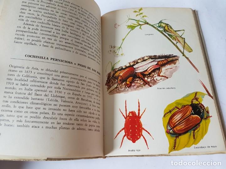 Libros de segunda mano: COMO PROTEGER LAS PLANTAS DE LOS INSECTOS, Y PARASITOS, LIBRO 1970 - Foto 6