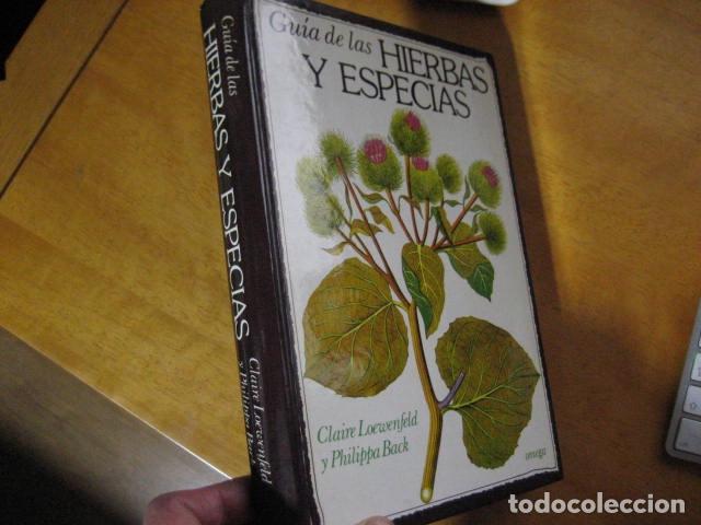 Libros de segunda mano: GU&Iacute;A DE LAS HIERBAS Y ESPECIAS - C. Loewenfeld y P. Back - Foto 2