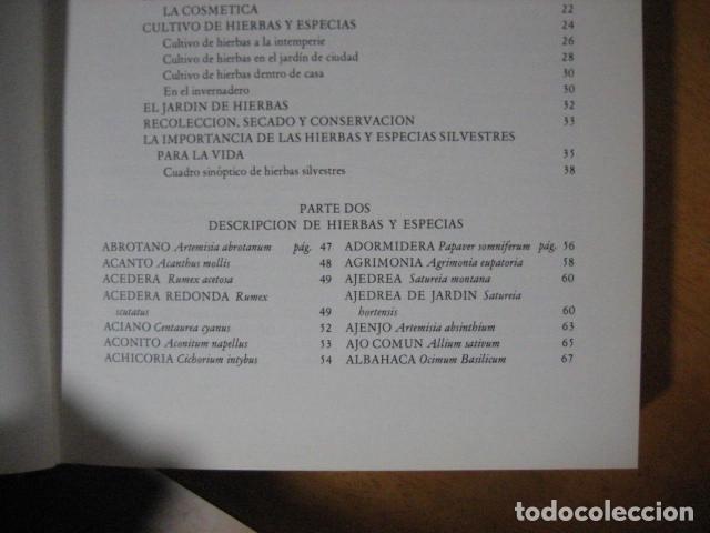 Libros de segunda mano: GU&Iacute;A DE LAS HIERBAS Y ESPECIAS - C. Loewenfeld y P. Back - Foto 9