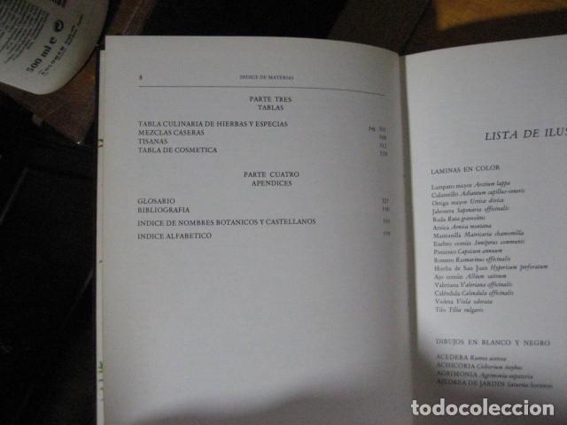 Libros de segunda mano: GU&Iacute;A DE LAS HIERBAS Y ESPECIAS - C. Loewenfeld y P. Back - Foto 11