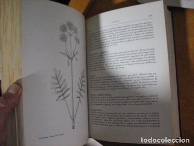Libros de segunda mano: GU&Iacute;A DE LAS HIERBAS Y ESPECIAS - C. Loewenfeld y P. Back - Foto 13