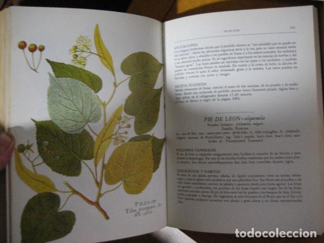 Libros de segunda mano: GU&Iacute;A DE LAS HIERBAS Y ESPECIAS - C. Loewenfeld y P. Back - Foto 14