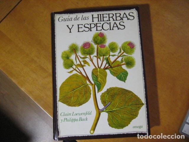 Libros de segunda mano: GU&Iacute;A DE LAS HIERBAS Y ESPECIAS - C. Loewenfeld y P. Back - Foto 1