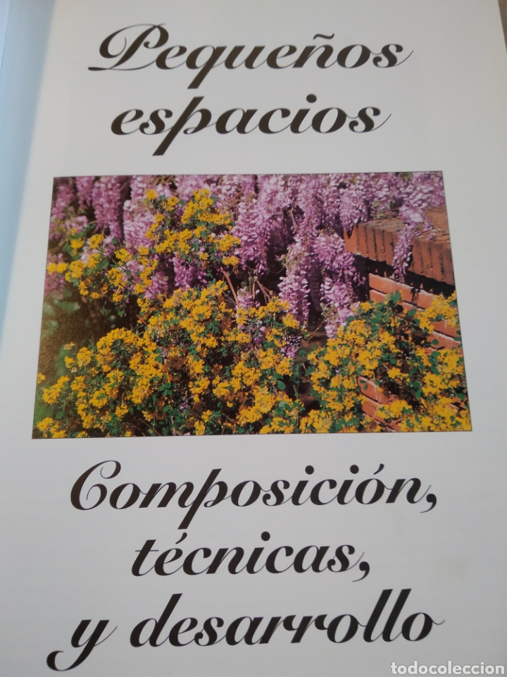 Libros de segunda mano: MINI JARDINES COMPOSICI&Oacute;N EN PEQUE&Ntilde;OS ESPACIOS - FRANCISCO JAVIER ALONSO DE LA PAZ #4900 - Foto 3