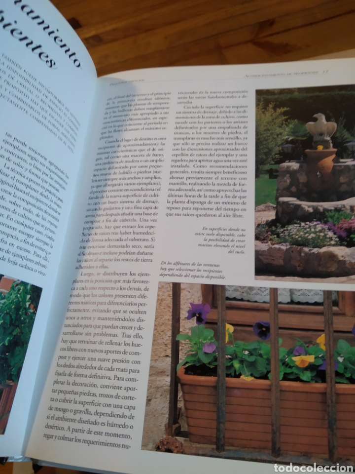 Libros de segunda mano: MINI JARDINES COMPOSICI&Oacute;N EN PEQUE&Ntilde;OS ESPACIOS - FRANCISCO JAVIER ALONSO DE LA PAZ #4900 - Foto 5