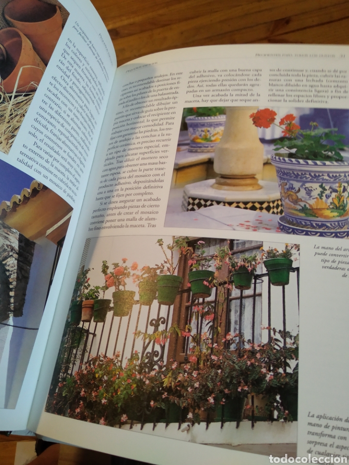 Libros de segunda mano: MINI JARDINES COMPOSICI&Oacute;N EN PEQUE&Ntilde;OS ESPACIOS - FRANCISCO JAVIER ALONSO DE LA PAZ #4900 - Foto 6