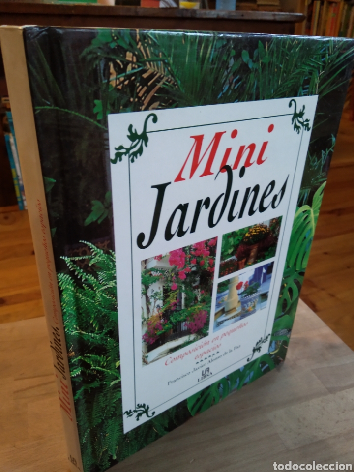 Libros de segunda mano: MINI JARDINES COMPOSICI&Oacute;N EN PEQUE&Ntilde;OS ESPACIOS - FRANCISCO JAVIER ALONSO DE LA PAZ #4900 - Foto 1