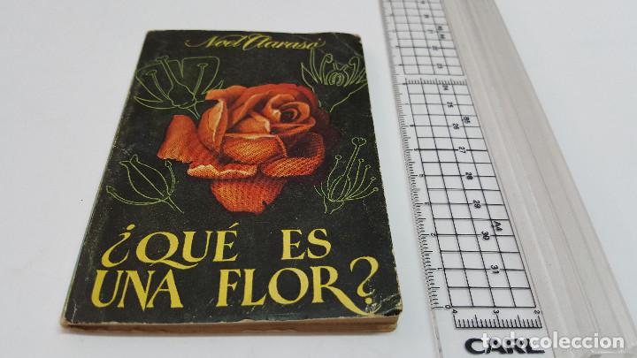 Libro ”¿qué Es Una Flor” De Noel Claraso Edic Comprar Libros De