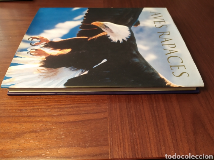 Libros de segunda mano: Aves rapaces. Paul D. Frost - Foto 2