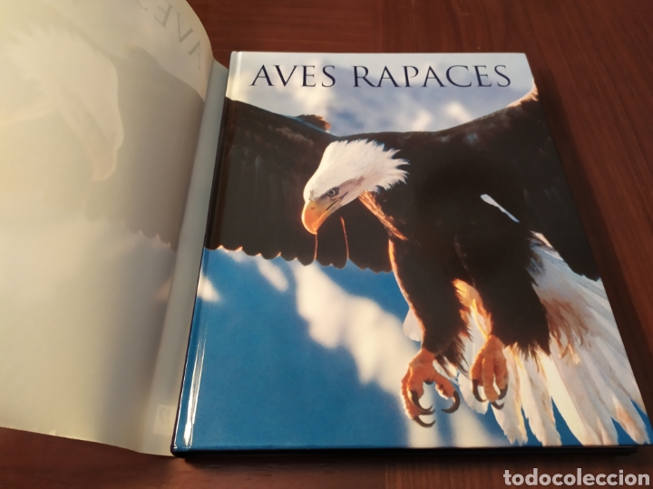 Libros de segunda mano: Aves rapaces. Paul D. Frost - Foto 4