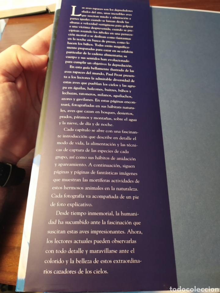 Libros de segunda mano: Aves rapaces. Paul D. Frost - Foto 5
