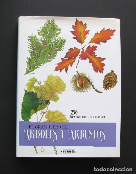 Libros de segunda mano: El gran libro de los &aacute;rboles y arbustos &ndash; Susaeta - Foto 1