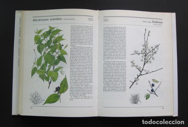 Libros de segunda mano: El gran libro de los &aacute;rboles y arbustos &ndash; Susaeta - Foto 2