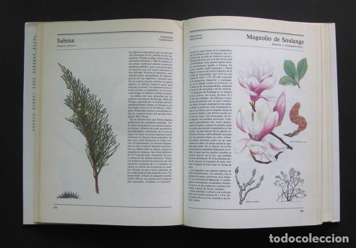 Libros de segunda mano: El gran libro de los &aacute;rboles y arbustos &ndash; Susaeta - Foto 4