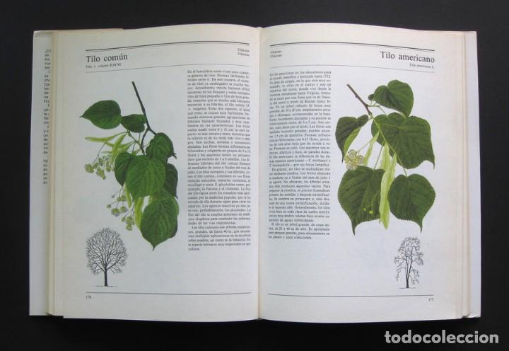 Libros de segunda mano: El gran libro de los &aacute;rboles y arbustos &ndash; Susaeta - Foto 5