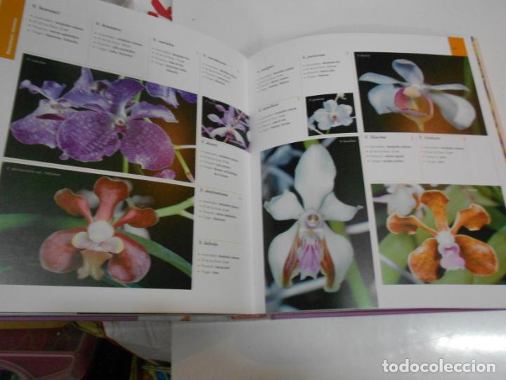 Libros de segunda mano: ESPECTACULAR ATLAS ILUSTRADO DE LAS ORQUIDEAS - Foto 2