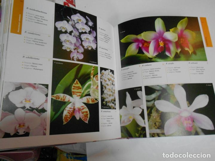 Libros de segunda mano: ESPECTACULAR ATLAS ILUSTRADO DE LAS ORQUIDEAS - Foto 3