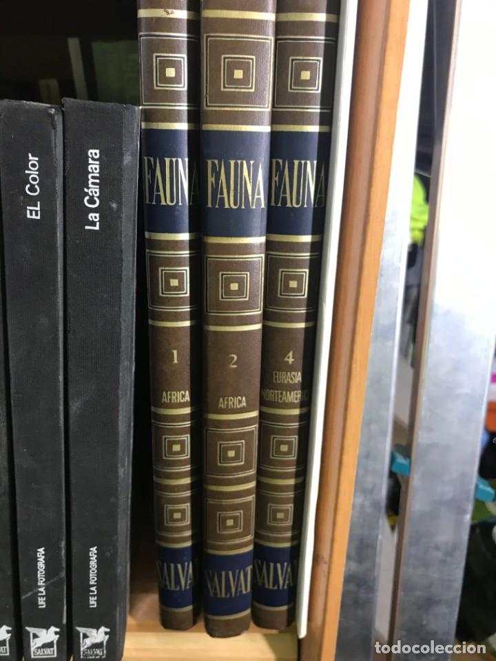 Libros de segunda mano: FAUNA TOMO 1 -2-4 - Foto 1