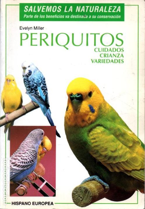 Libros de segunda mano: EVELYN MILLER : PERIQUITOS (HISPANO EUROPEA, 2000) - Foto 1