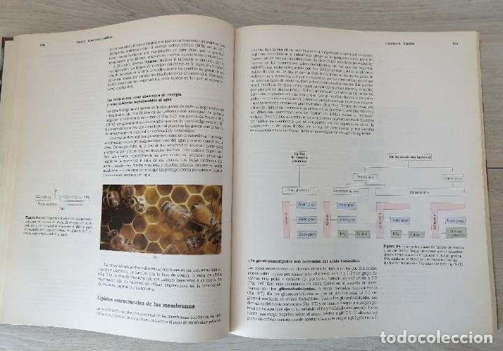 Libros de segunda mano de ciencias: Principios de bioqu&iacute;mica - Foto 6