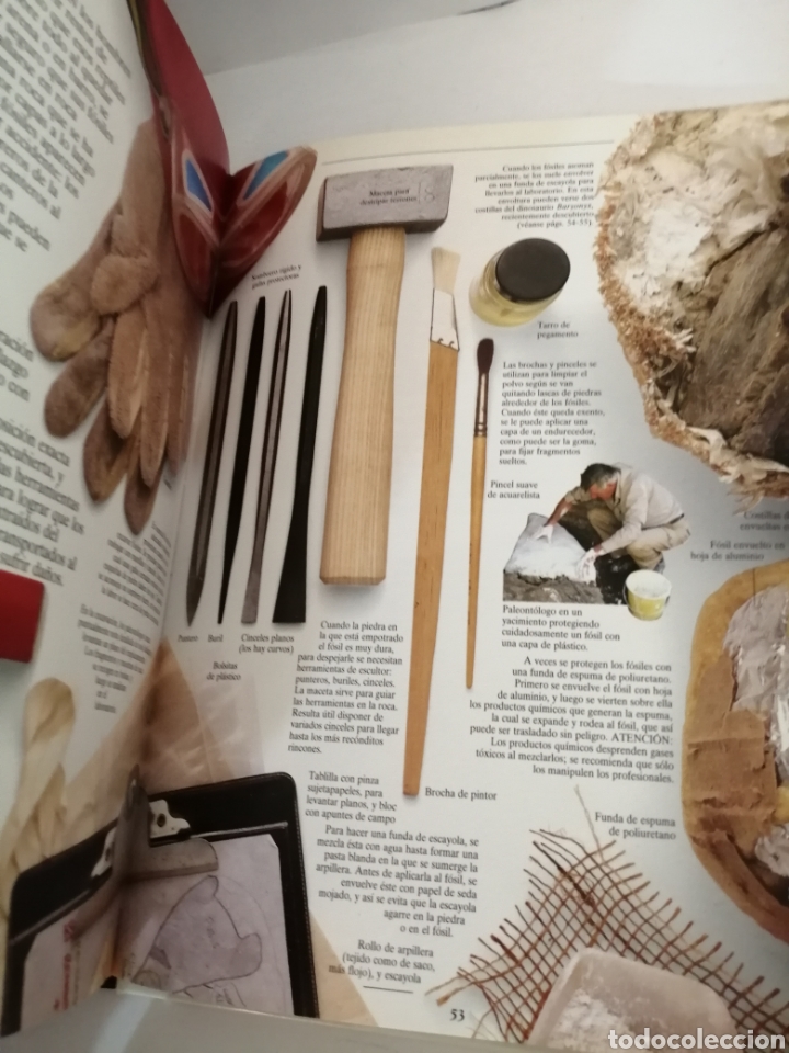 Libros de segunda mano: LOS DINOSAURIOS de DAVID NORMAN Y ANGELA MILNER - Foto 5