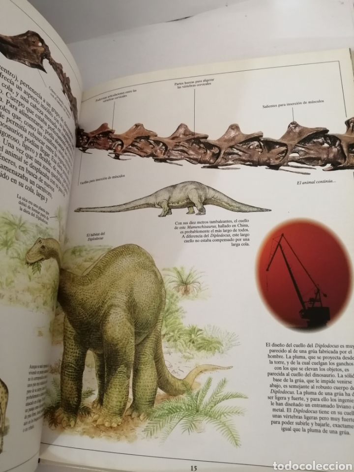 Libros de segunda mano: LOS DINOSAURIOS de DAVID NORMAN Y ANGELA MILNER - Foto 6