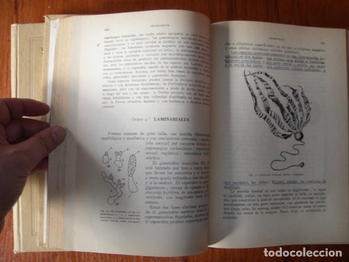 Libros de segunda mano: DOS TOMOS BOT&Aacute;NICA DESCRIPTIVA LOSA RIVAS Y MU&Ntilde;OZ MEDINA - Foto 2