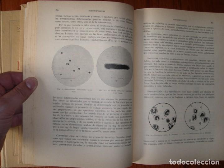 Libros de segunda mano: DOS TOMOS BOT&Aacute;NICA DESCRIPTIVA LOSA RIVAS Y MU&Ntilde;OZ MEDINA - Foto 3