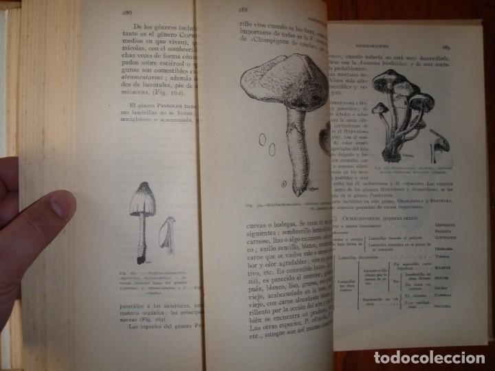 Libros de segunda mano: DOS TOMOS BOT&Aacute;NICA DESCRIPTIVA LOSA RIVAS Y MU&Ntilde;OZ MEDINA - Foto 4