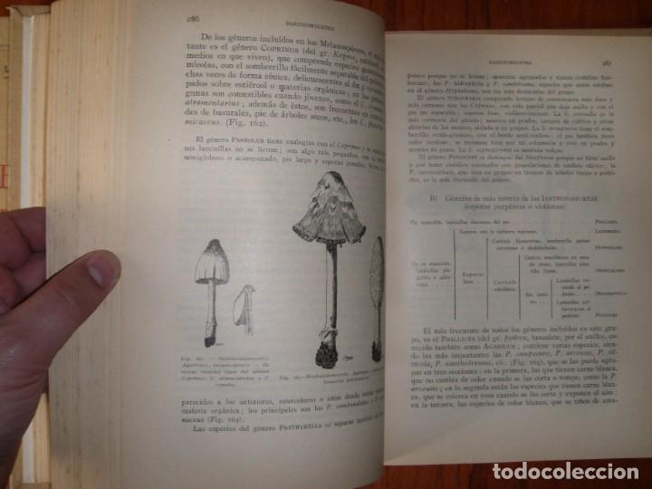 Libros de segunda mano: DOS TOMOS BOT&Aacute;NICA DESCRIPTIVA LOSA RIVAS Y MU&Ntilde;OZ MEDINA - Foto 5
