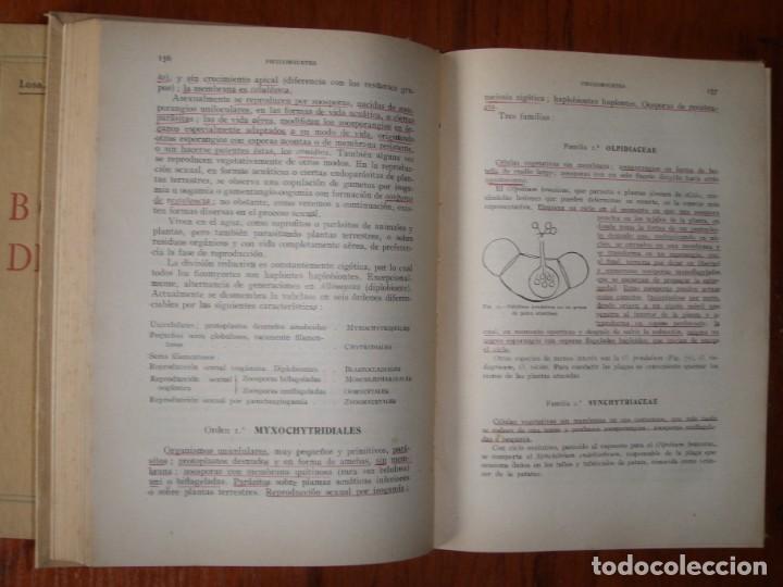 Libros de segunda mano: DOS TOMOS BOT&Aacute;NICA DESCRIPTIVA LOSA RIVAS Y MU&Ntilde;OZ MEDINA - Foto 6