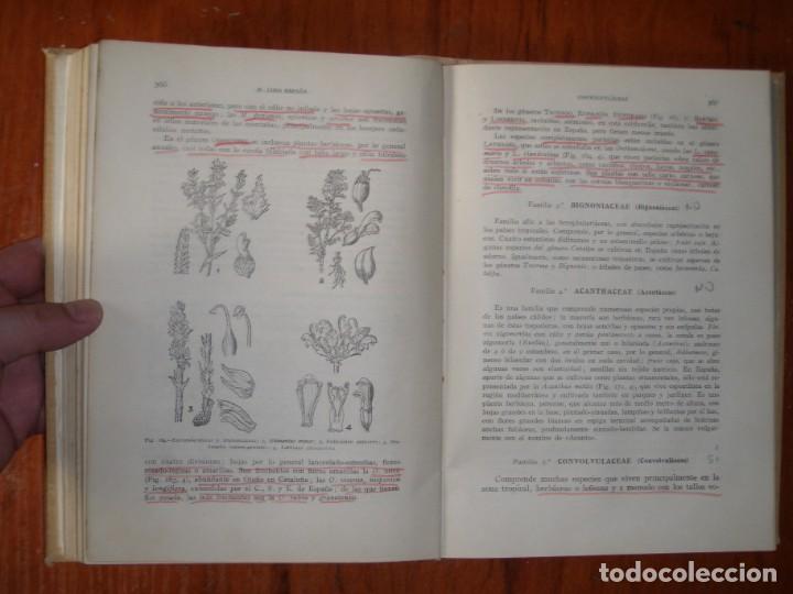 Libros de segunda mano: DOS TOMOS BOT&Aacute;NICA DESCRIPTIVA LOSA RIVAS Y MU&Ntilde;OZ MEDINA - Foto 7