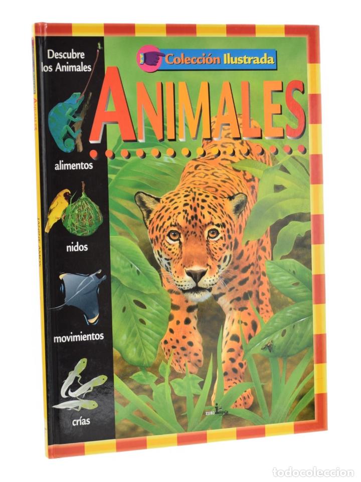 Libros de segunda mano: ANIMALES. COLECCI&Oacute;N ILUSTRADA - AMOS, Janine - Foto 1