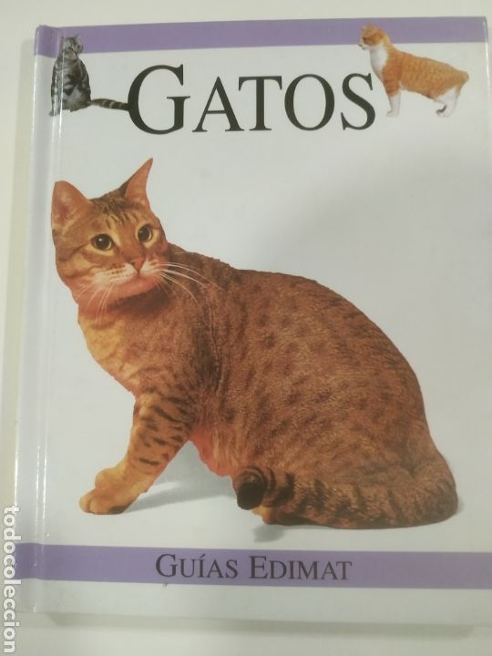 Libros de segunda mano: Gatos. Tipos de gatos en el mundo - Foto 1