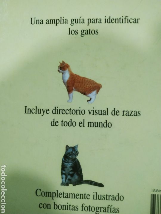 Libros de segunda mano: Gatos. Tipos de gatos en el mundo - Foto 2
