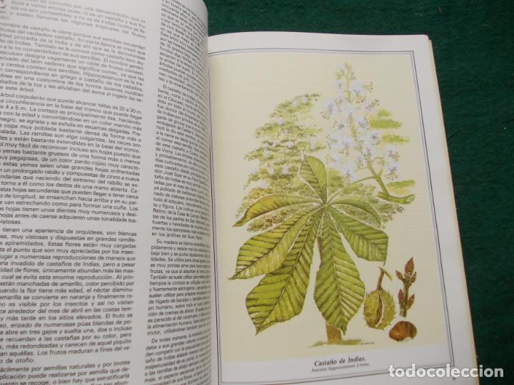 Libros de segunda mano: ARBOLES DE MADRID - Foto 2