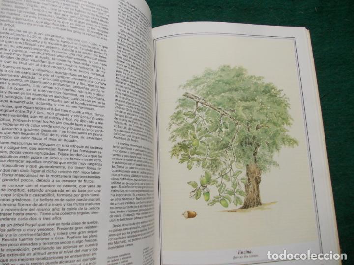 Libros de segunda mano: ARBOLES DE MADRID - Foto 3
