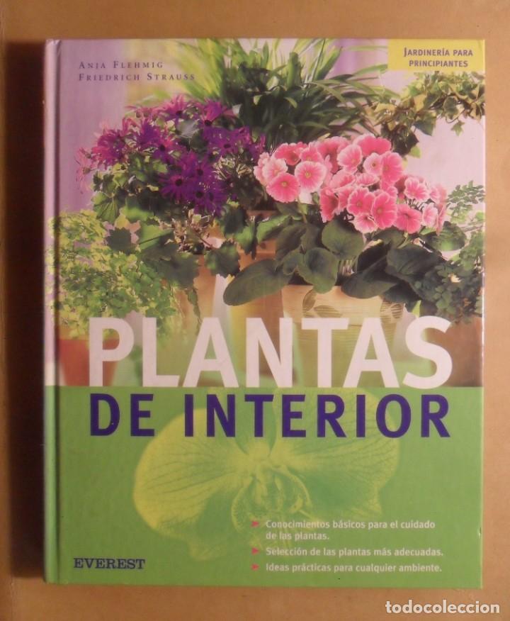 Libros de segunda mano: PLANTAS DE INTERIOR - ANJA FLEHMIN/FRIEDRICH STRAUSS - EVEREST - Foto 1