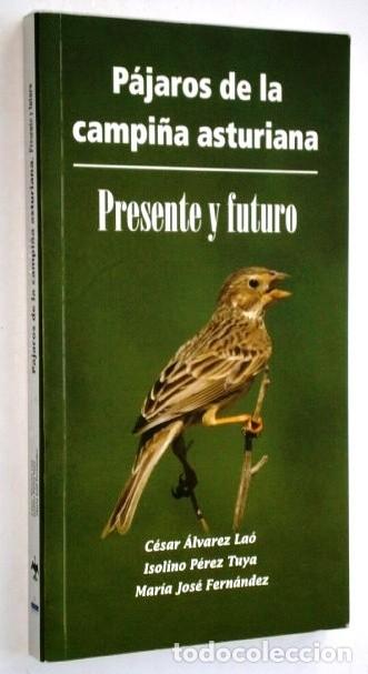 Gebrauchte B&uuml;cher: P&aacute;jaros de la campi&ntilde;a asturiana / C&eacute;sar Alvarez Lao y otros / Gr&aacute;ficas Covadonga, Gij&oacute;n 2011